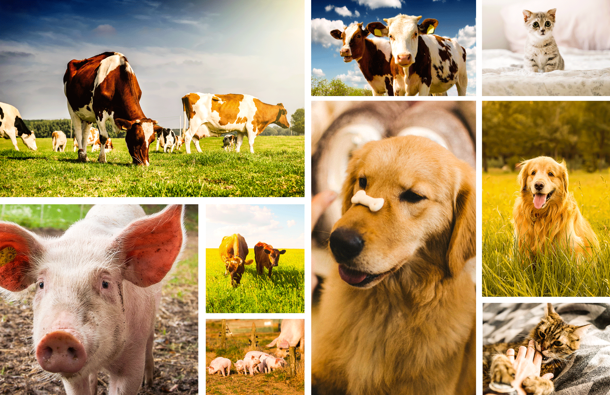 38fc62877d197e78ba0955db89b24278